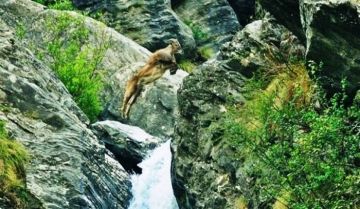 Amazing 2 Days 1 Night Himachal Pradesh River Tour Package