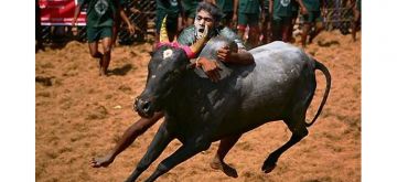 2 Days 1 Night Tamil Nadu River Tour Package