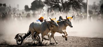 Magical 2 Days Punjab Culture and Heritage Holiday Package