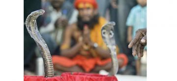 Heart-warming 2 Days 1 Night All Over India Tour Package