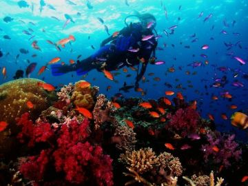 Experience 2 Days Andaman Adventure Holiday Package