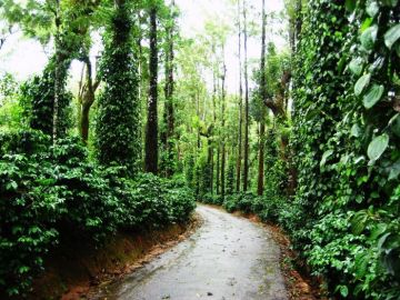Ecstatic 2 Days Coorg Hill Stations Tour Package