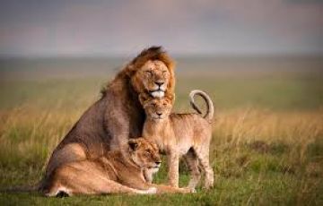Family Getaway 5 Days Lake Nakuru National Park Nature Holiday Package