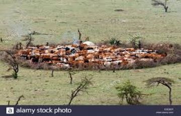 Family Getaway 5 Days Lake Nakuru National Park Nature Holiday Package