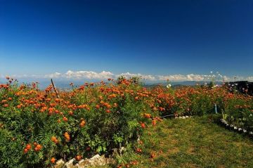 Magical 2 Days Mukteshwar Adventure Holiday Package