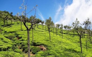 Family Getaway Ooty Shopping Tour Package for 2 Days 1 Night