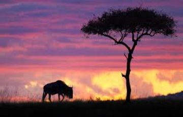 Magical 7 Days Nairobi Shopping Vacation Package