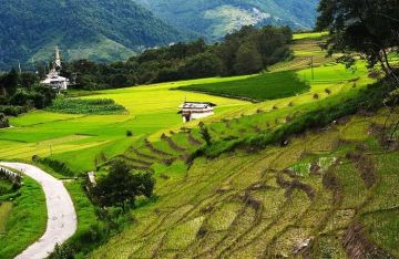 Best 2 Days 1 Night Ziro Offbeat Tour Package