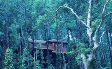 Memorable 2 Days 1 Night Coorg Offbeat Holiday Package