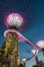 Stunning Singapore with Hilton
