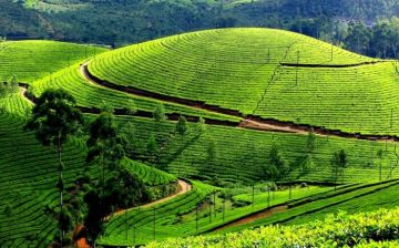 Magical 2 Days Ooty Friends Trip Package by Supreme Travelers