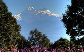 Family Getaway Ranikhet Hill Tour Package for 2 Days