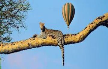 Magical 6 Days Amboseli Wildlife Holiday Package