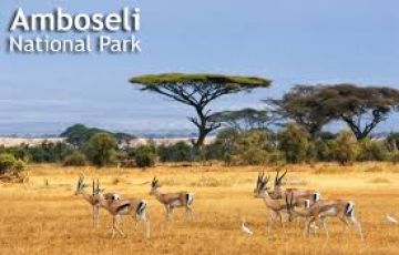 Magical 6 Days Amboseli Wildlife Holiday Package