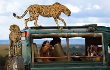 Magical 6 Days Amboseli Wildlife Holiday Package