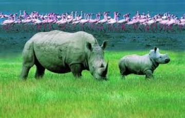 Magical 6 Days Amboseli Wildlife Holiday Package