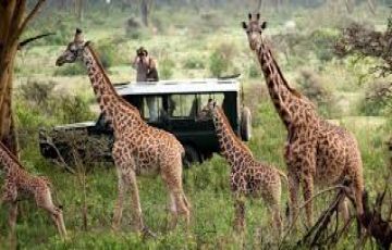 Family Getaway 9 Days Nairobi to Amboseli Honeymoon Tour Package