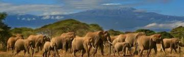 Family Getaway 9 Days Nairobi to Amboseli Honeymoon Tour Package