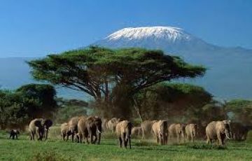 Family Getaway 9 Days Nairobi to Amboseli Honeymoon Tour Package