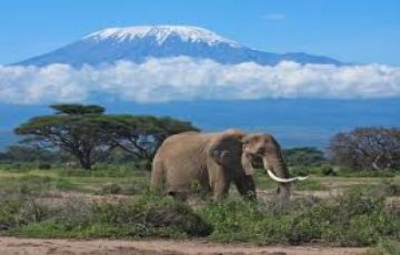 Family Getaway 9 Days Nairobi to Amboseli Honeymoon Tour Package