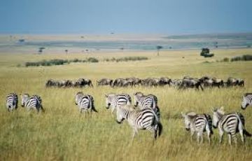 Family Getaway 9 Days Nairobi to Amboseli Honeymoon Tour Package