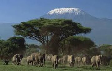 Family Getaway 5 Days Mount Kenya Tour Package