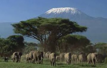 Family Getaway 5 Days Mount Kenya Tour Package Family Getaway 5 Days Mount Kenya Tour Package