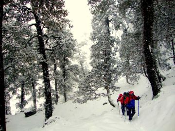 Beautiful Himalayan Tour Package for 2 Days 1 Night