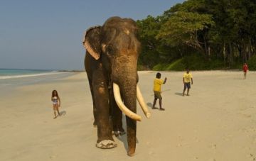 2 Days Andaman And Nicobar Islands, India to Andaman And Nicobar Friends Trip Package