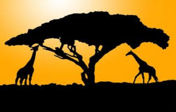 Family Getaway 10 Days Nairobi to Lake Nakuru Beach Tour Package