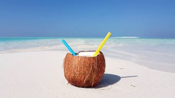 Family Getaway 10 Days Nairobi to Lake Nakuru Beach Tour Package