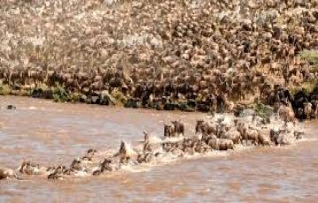 Family Getaway 10 Days Nairobi to Lake Nakuru Beach Tour Package