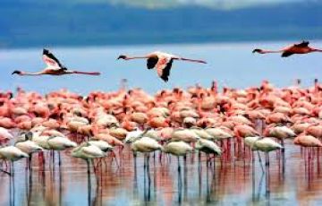 Family Getaway 10 Days Nairobi to Lake Nakuru Beach Tour Package
