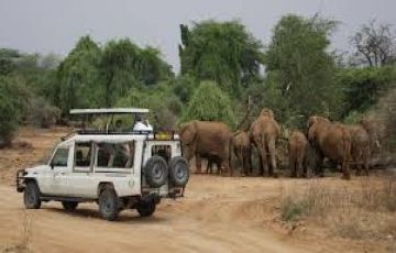 Family Getaway 10 Days Nairobi to Lake Nakuru Beach Tour Package