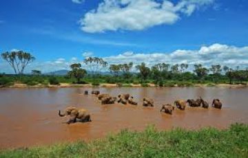 Family Getaway 10 Days Nairobi to Lake Nakuru Beach Tour Package