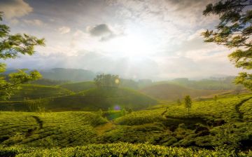 Beautiful 2 Days Munnar Family Vacation Package