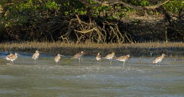 Experience Sunderbans Adventure Tour Package for 2 Days 1 Night