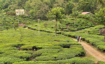 Magical 2 Days Munnar Beach Tour Package