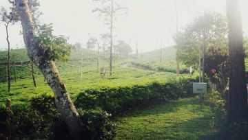 Magical 2 Days 1 Night Coorg Waterfall Trip Package