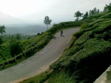 Amazing 2 Days Munnar Friends Tour Package