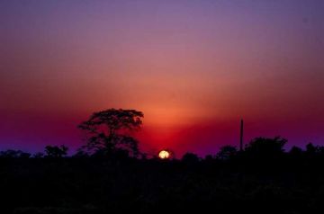 Magical 2 Days 1 Night Assam Shopping Trip Package