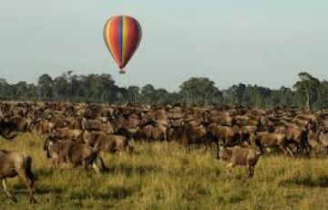 Ecstatic 5 Days Nairobi to Amboseli Park Vacation Package