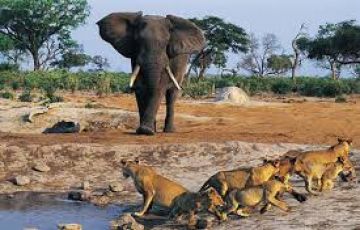 Ecstatic 6 Days Nairobi to Tsavo East National Park Weekend Getaways Vacation Package