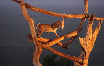 Ecstatic 6 Days Nairobi to Tsavo East National Park Weekend Getaways Vacation Package