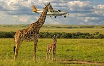 Pleasurable 4 Days Maasai Mara Wildlife Holiday Package