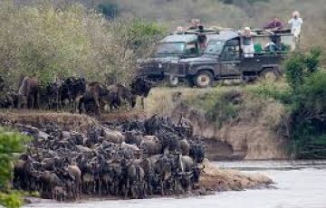 Pleasurable 4 Days Maasai Mara Wildlife Holiday Package