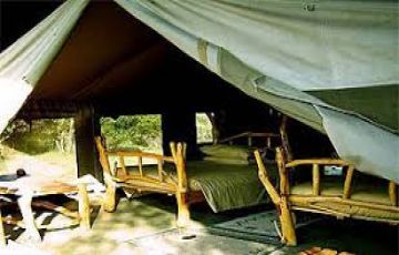 Pleasurable 4 Days Maasai Mara Wildlife Holiday Package