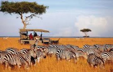 Pleasurable 7 Days Nairobi to Lake Nakuru Nature Trip Package