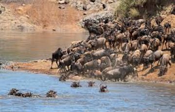 Pleasurable 7 Days Nairobi to Lake Nakuru Nature Trip Package