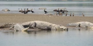 Beautiful Uttar Pradesh Tour Package For 2 Days